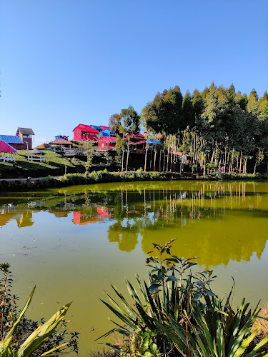 Ilam - Beautiful city in Nepal