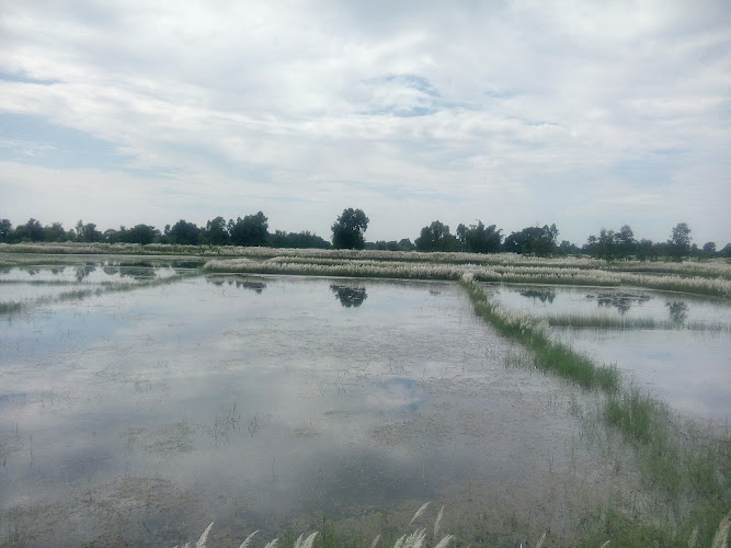 Siraha - main