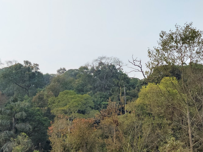 BAJRABARAHI COMMUNITY FOREST - Nepal's protected wildlife sanctuary