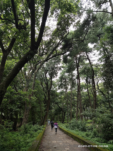 Bhandarkhal Jungle - Nepal National Park