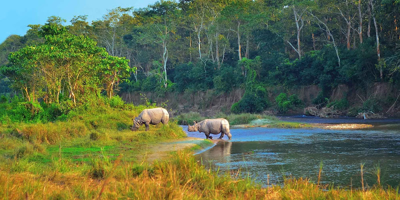 Chitwan national PARK National Park, Nepal - gallery