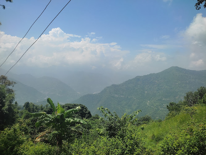 CHULIBAN DEURALI AND MANGDINPAKACTHA Community Forest - Nepal's protected wildlife sanctuary