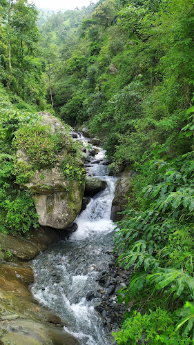 Deuralli (godraly) - Nepal's protected wildlife sanctuary