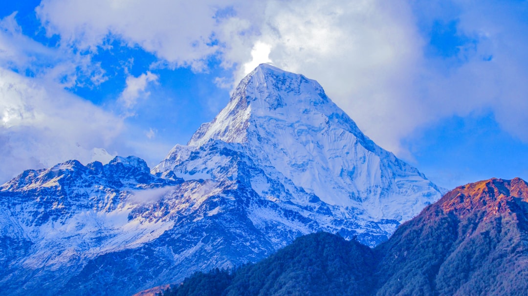 Fresh Park, Syalaptani - Nepal's protected wildlife sanctuary