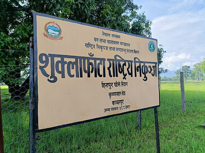 Shuklaphanta National PARK National Park, Nepal - gallery