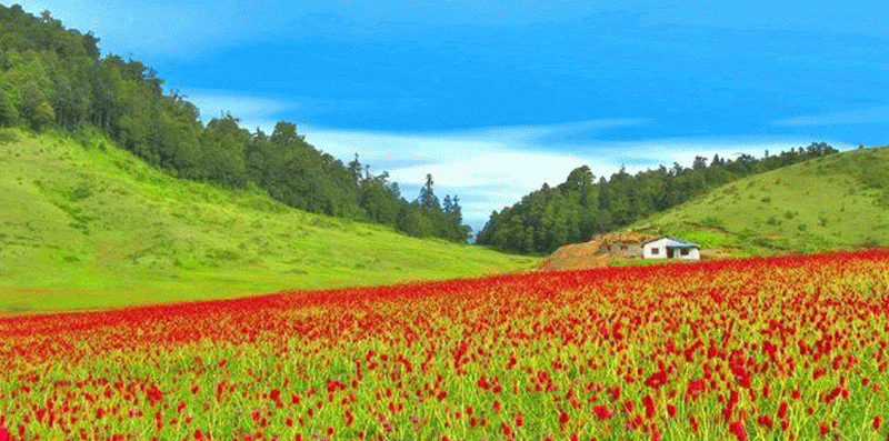Khaptad National Park