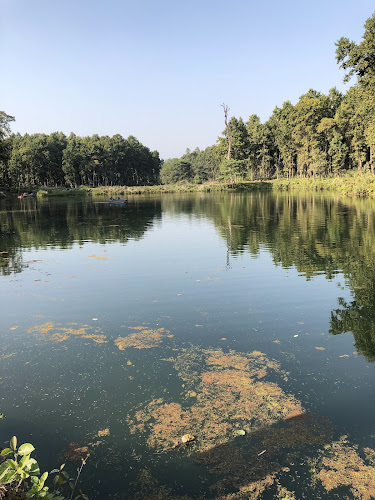 MID Jungle Open BATH bath - Nepal's protected wildlife sanctuary