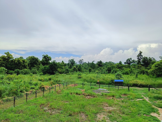 Shuklaphanta National PARK National Park, Nepal - gallery