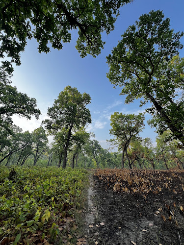 Taranagar Community Forest - Nepal's protected wildlife sanctuary