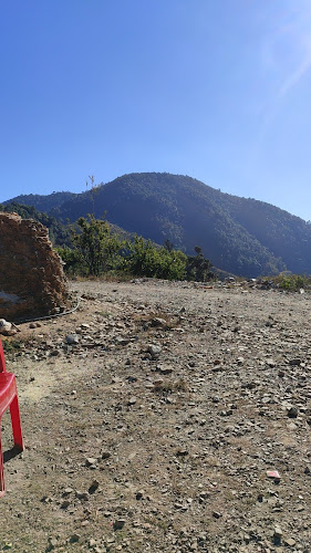 The sherating community forest - Nepal's protected wildlife sanctuary