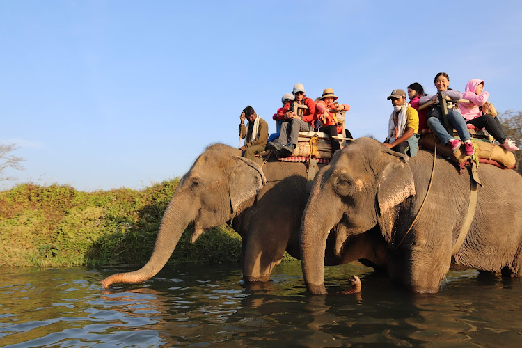 Tikauli jungle - Nepal's protected wildlife sanctuary